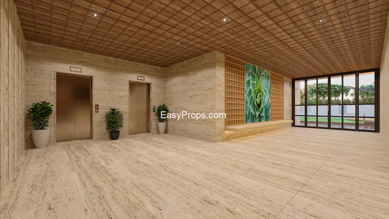 2024-12-26 (3)_20250331182523638.jpg